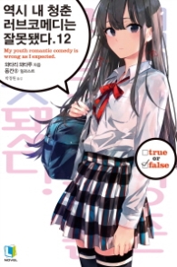 역시 내 청춘 러브코메디는 잘못됐다 12